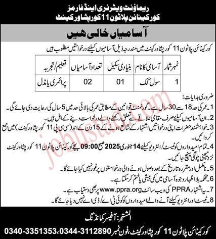 Civilian New Govt Jobs In Peshawar Cantt December 2024