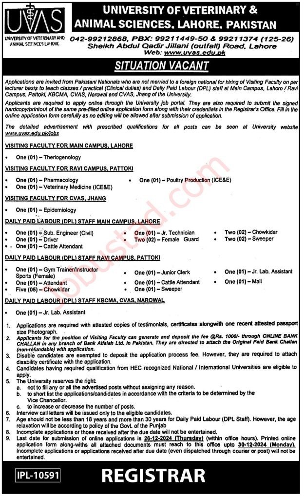 UVAS New Govt Jobs In Punjab December 2024