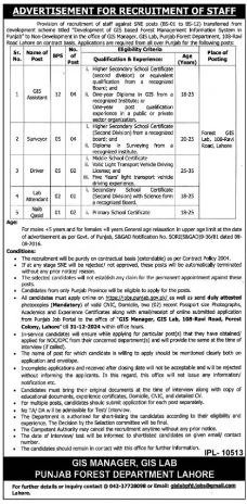 Forest Department New Govt Jobs In Punjab December 2024