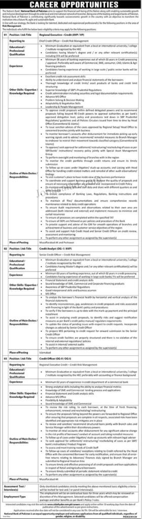 New Govt Jobs National Bank of Pakistan January 2025